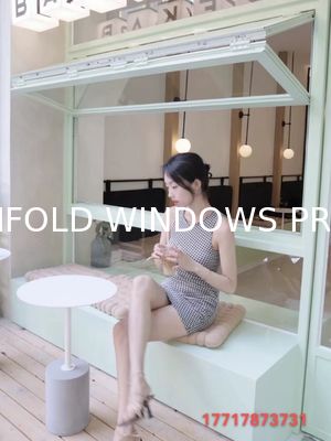 Contemporary Minimalist Frameless Folding Windows - 10mm Structural Glazing