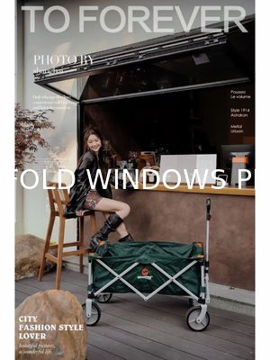 Bird-Safety UV Patterned Folding Windows - Ornilux Avian Protection
