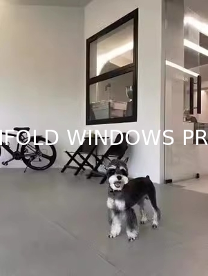 Alloy Household Aluminum Window Black Modern Aluminium Window Design Aluminium Bifolding Window