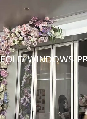 Aluminum Alloy Bifold Windows with Double Pane Tempered Clear Glass and 6063-T5 Extrusion Alloy