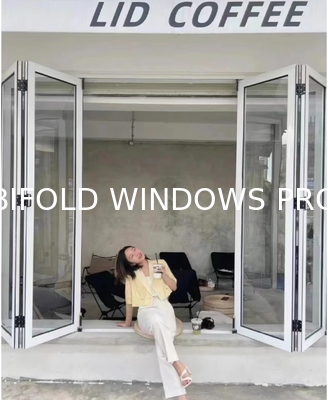 Hot Style Design Block Uv Rays Low E Glass Black Aluminum Commercial Bifold Folding Window Aluminum windows