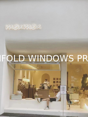 Glass Soundproof Bifold Window: High-Quality Aluminium Folding Windows