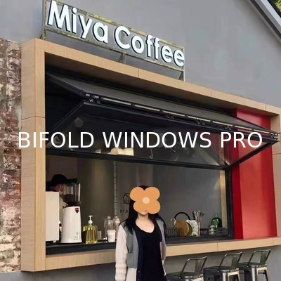 Horizontal Folding Windows with Heat Insulation - Free Samples