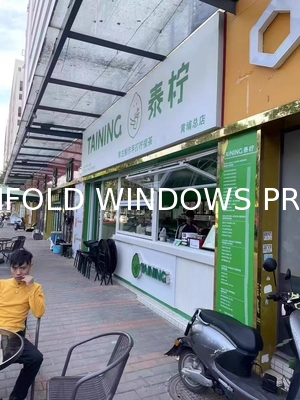 Horizontal Folding Windows with Heat Insulation - Free Samples