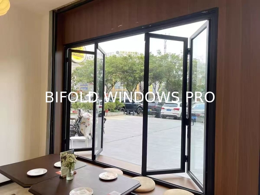 Modern Black Folding Windows - Architectural Statement Frames