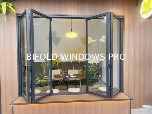 Modern Black Folding Windows - Architectural Statement Frames