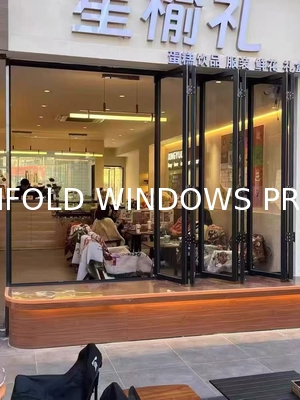 Modern Black Folding Windows - Architectural Statement Frames