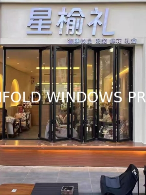Modern Black Folding Windows - Architectural Statement Frames