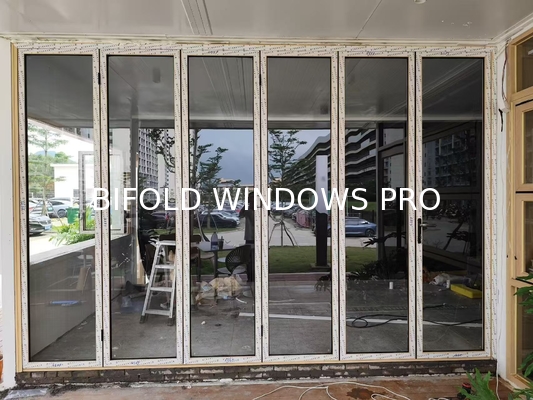 Modern Black Folding Windows - Architectural Statement Frames