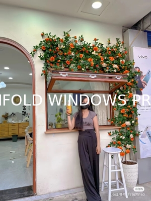 Home Office Folding Windows - Noise Isolation for Focus