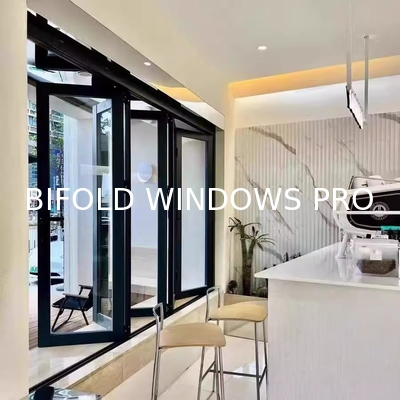 Art Studio Folding Windows - Maximized North Light Exposure