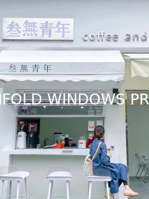Limited Offer: Buy 3 Panels Get 1 Free Folding Windows