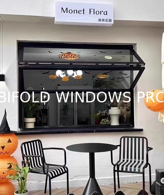 Free Design Consultation Folding Windows - 3D Renderings Included