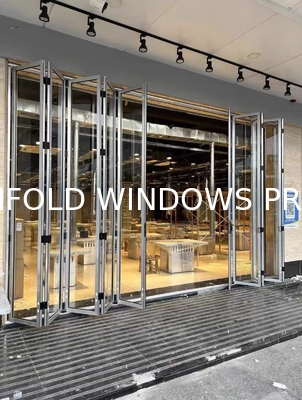 Free Design Consultation Folding Windows - 3D Renderings Included