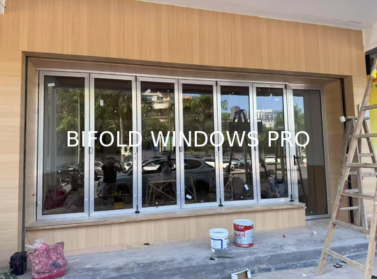 Free Design Consultation Folding Windows - 3D Renderings Included