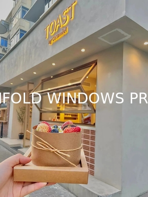 Berlin Passivhaus Optimized Folding Windows - PHPP Verified Energy Modeling