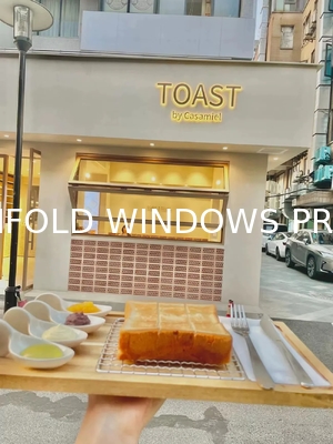 Berlin Passivhaus Optimized Folding Windows - PHPP Verified Energy Modeling
