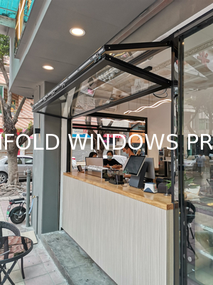Farm Balcony Folding Window Portal Enabling Vegetable Cultivation in Urban Apartment Environments