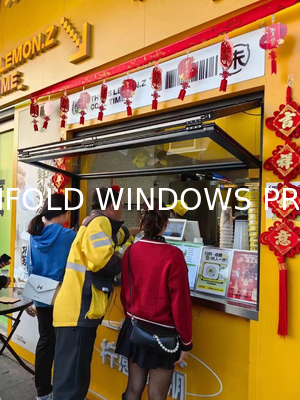 Reflect Energy Saving Folding Window Technology Deflecting Summer Heat While Capturing Winter Sun