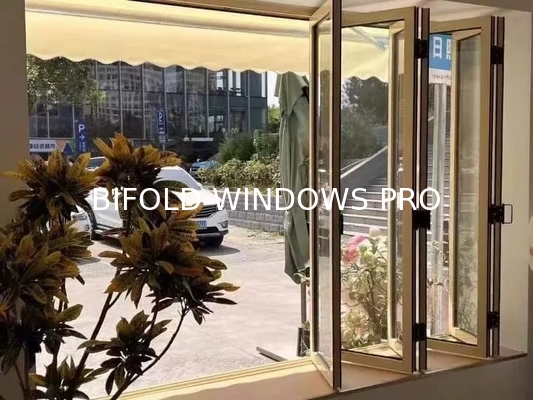 Inspiration Morning Folding Window Positioned for Creative Work Light Optimization