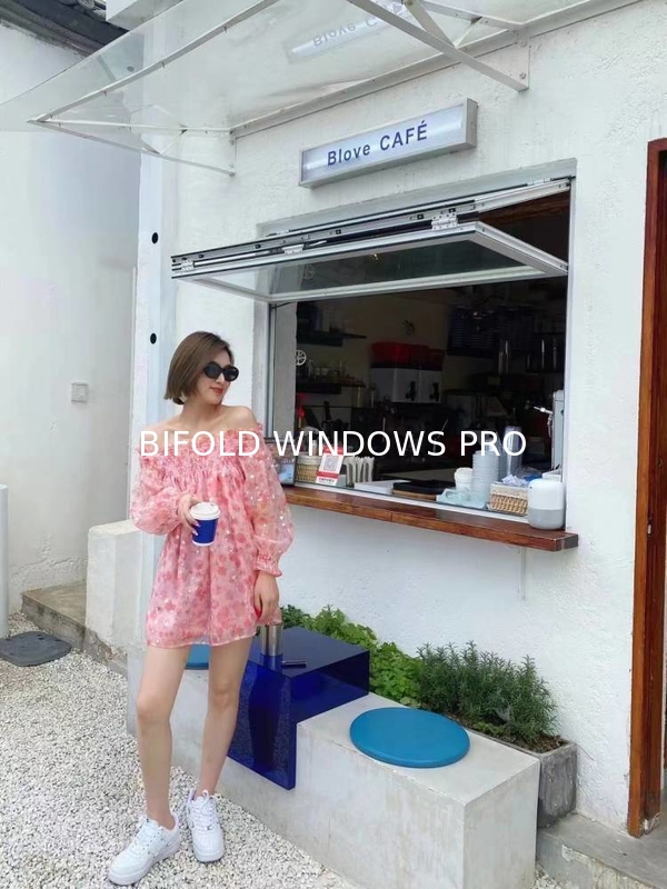 Electrostatic Epoxy-Polyester Powder-Coated Folding Windows - 68 RAL/NCS Color Library